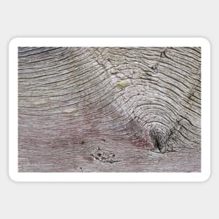 Old weathered wooden planking Sticker